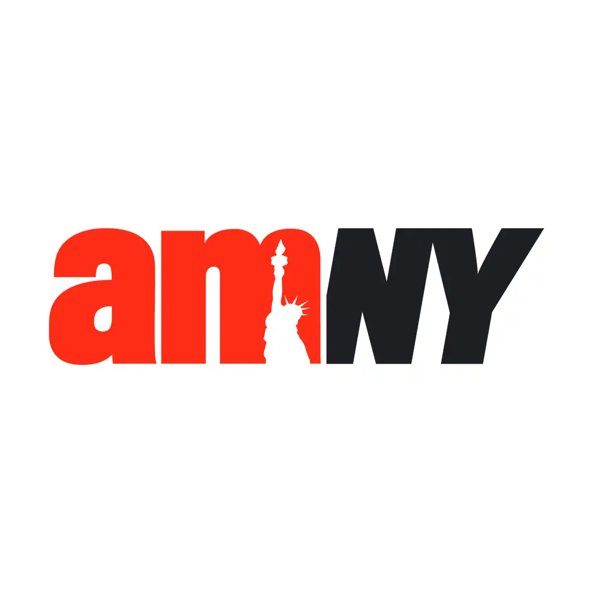 amNY-logo-square